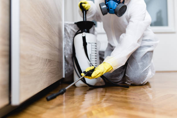 Best Exterminator Services  in Castle Rock, WA