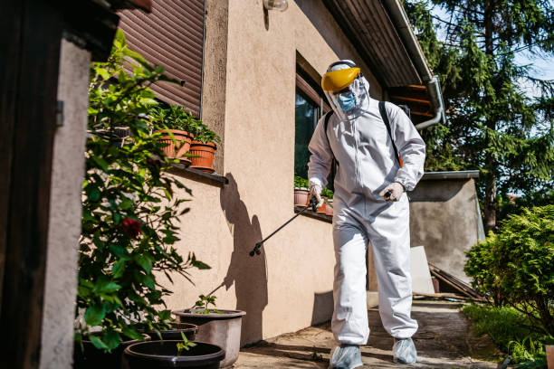 Best Rat Extermination Near Me  in Castle Rock, WA