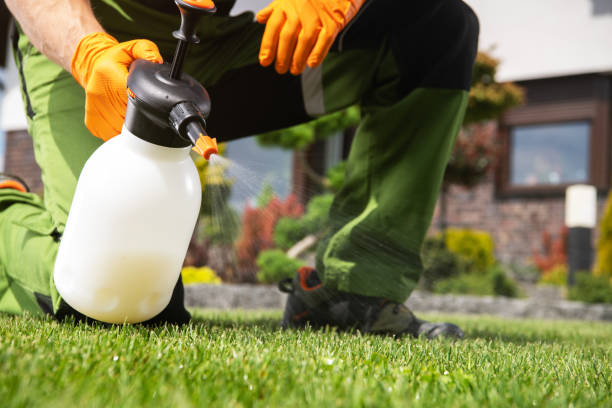Best Exterminator Services  in Castle Rock, WA