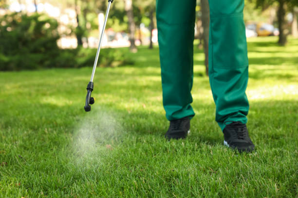Best Insect Control  in Castle Rock, WA