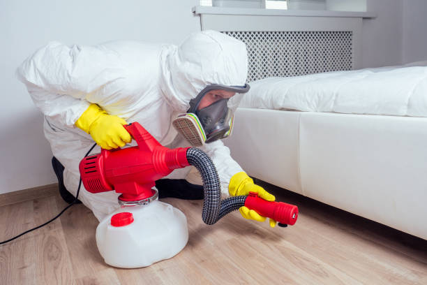 Best Bed Bug Extermination  in Castle Rock, WA