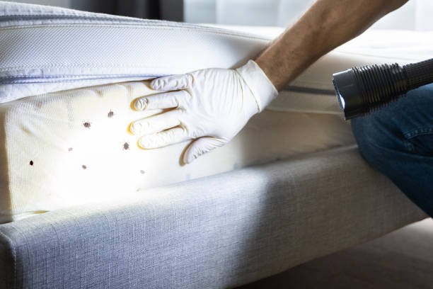 Pest Control Cost in Castle Rock, WA