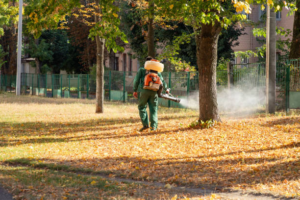 Best Pest Removal Services  in Castle Rock, WA