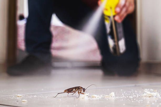 Best Residential Pest Control  in Castle Rock, WA