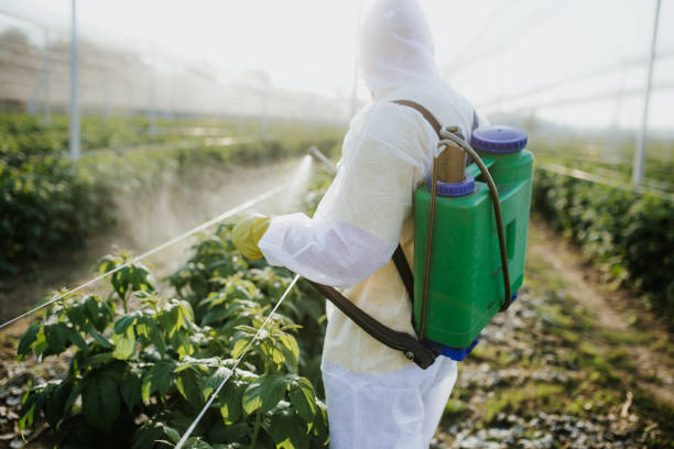 Castle Rock, WA Pest Control Company
